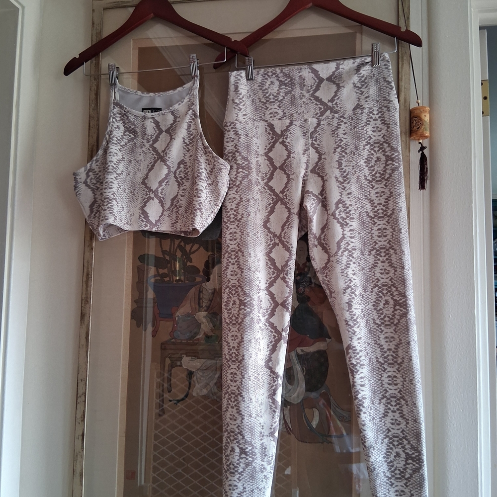 Beach Riot Snake Print  Leggings And Top